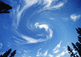 bach flower treatments